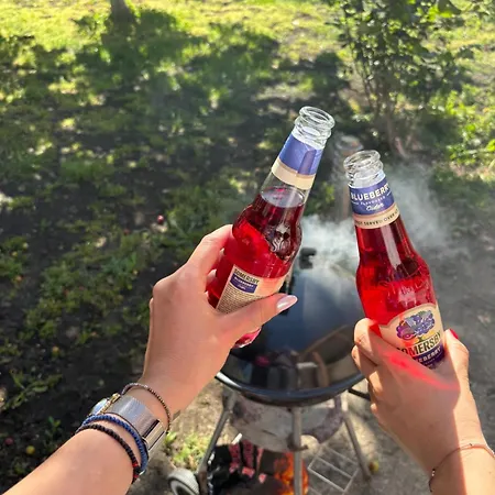 Willa къща каменар *