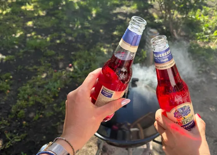 Vilă къща каменар *